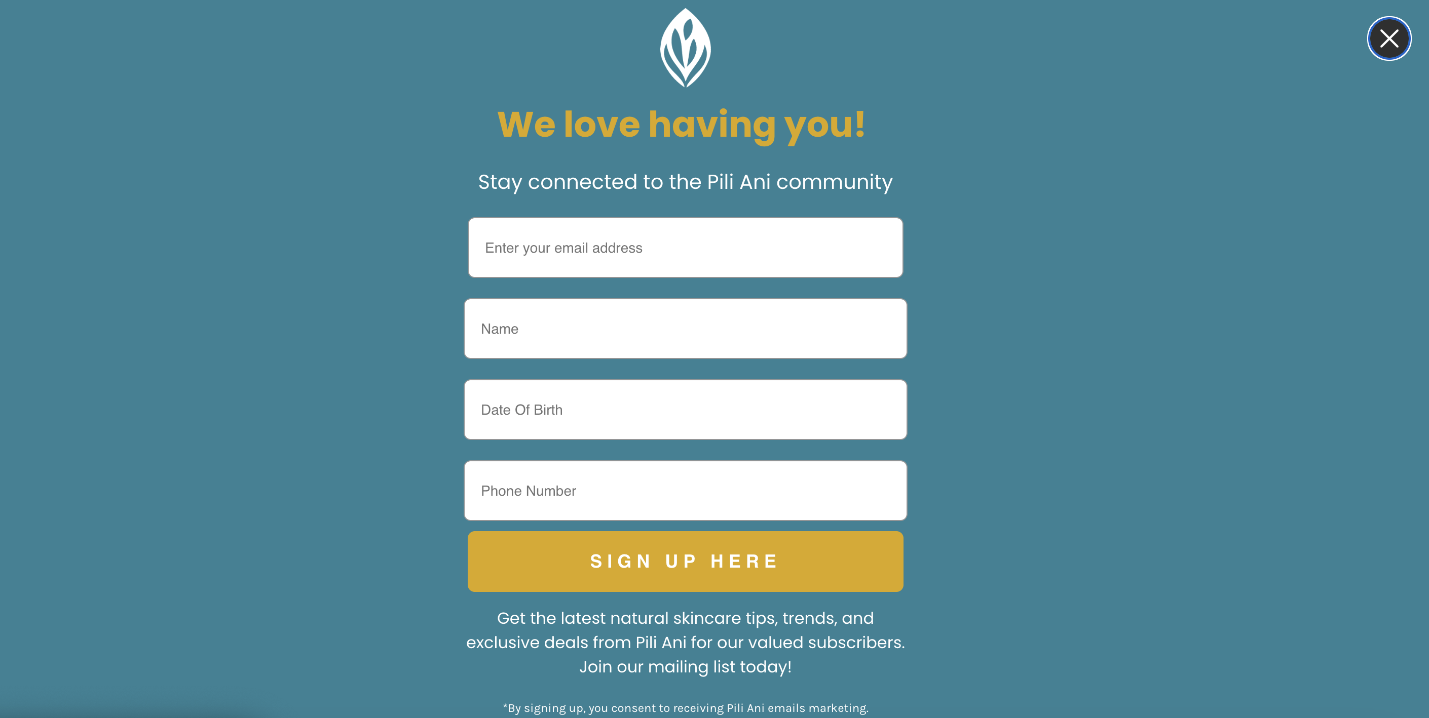 Klaviyo Popup